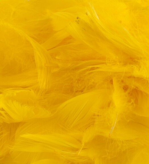 Eleganza Feathers - Yellow