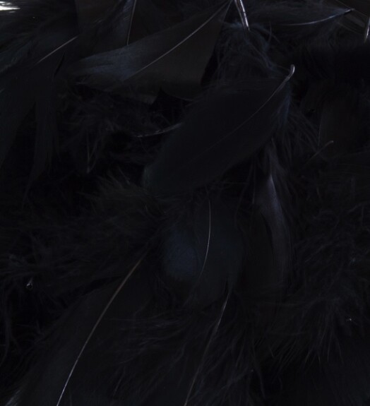 Eleganza Feathers - Black