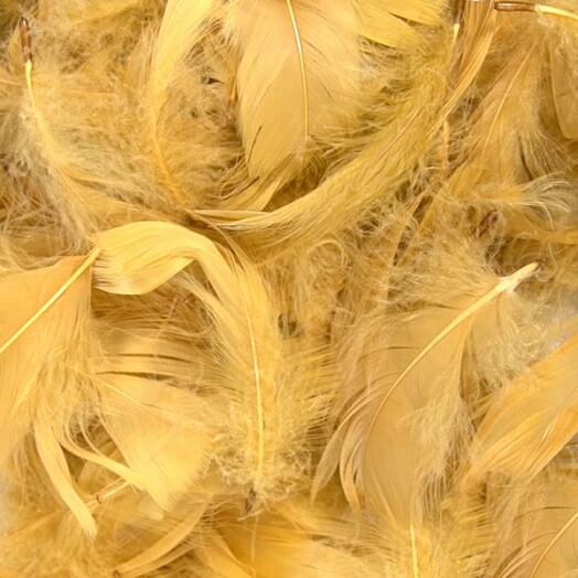 Eleganza Feathers - Gold