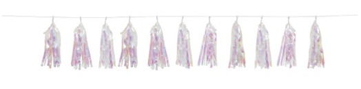 Tassel Garland - Iridescent