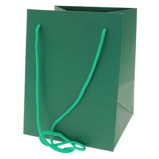 19x25cm Hand Tie Bag 10pk Dark Green