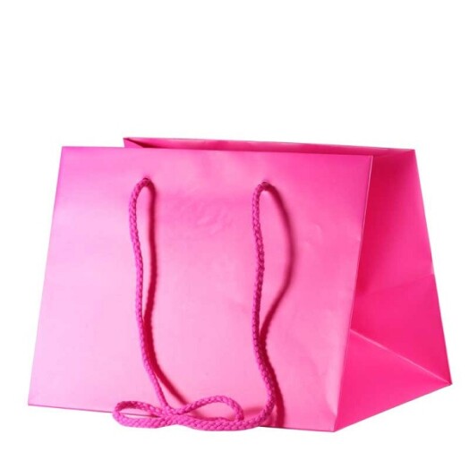 25cm x 19cm Hand Tie Bag 10pk Cerise