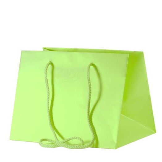 25cm x 19cm Hand Tie Bag 10pk Lime Green