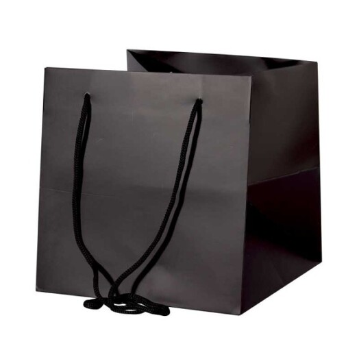 25x25cm Hand Tie Bag 10pk Black