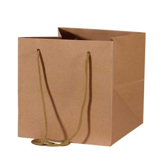 25x25cm Hand Tie Bag 10pk Kraft