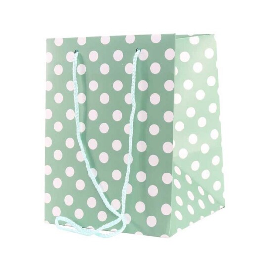 19x25cm Hand Tie Bag 10pk Sage Green Polka Dot