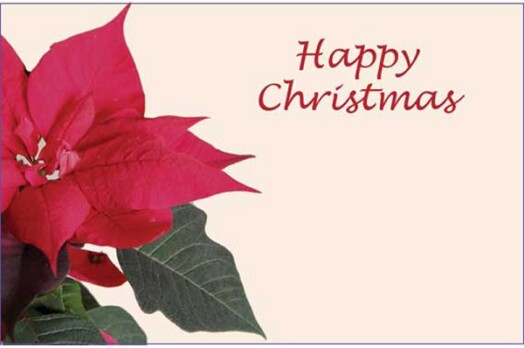 Florist Small Cards - Happy Christmas, Poinsettia