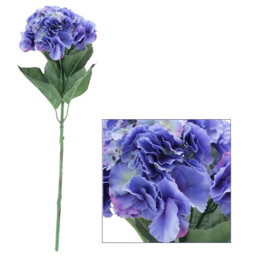 Single Hydrangea Blue