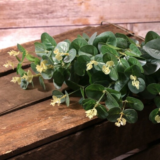 Eucalyptus Bush Green