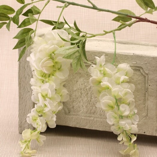 2 Head Wisteria White