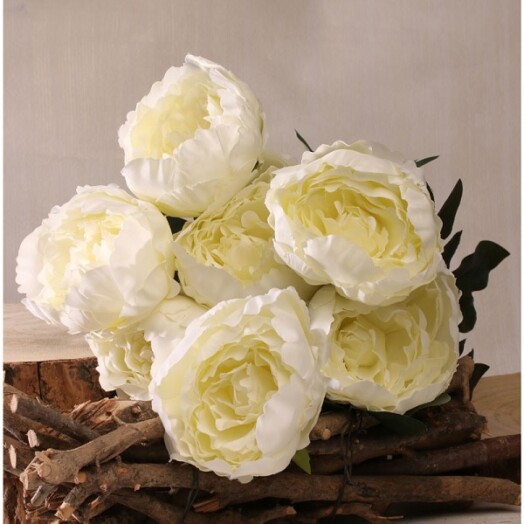 King Peony Bunch Cream