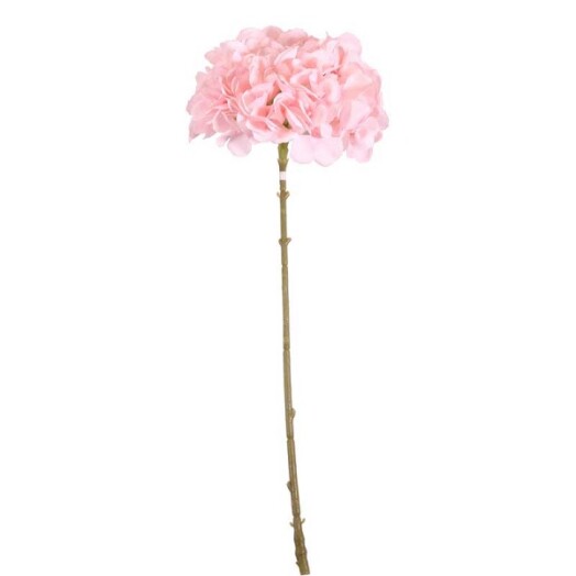 Short Stem Single Hydrangea Pink