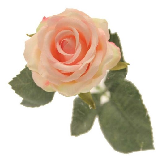 Diamond Rose Light Pink