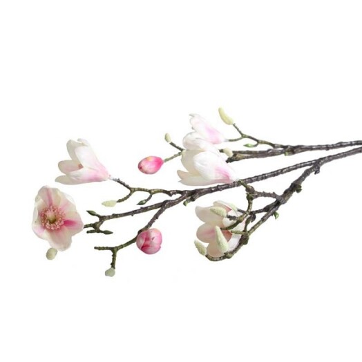 Magnolia Branch Blush Pink