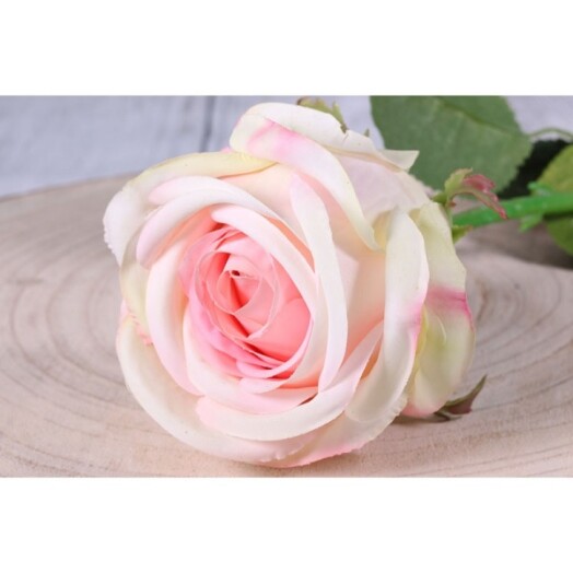 Medium Camelot Rose Bud Blush Pink