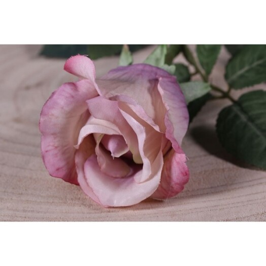 71cm Single Celia Rose Antique Pink