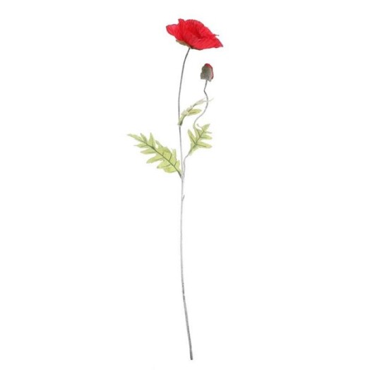 Large Poppy - Red