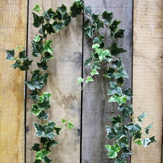 Irish Ivy Garland