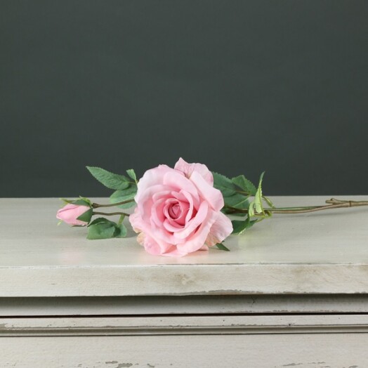 Tintagel Spray Rose - Light Pink