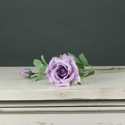 Tintagel Spray Rose - Lavender